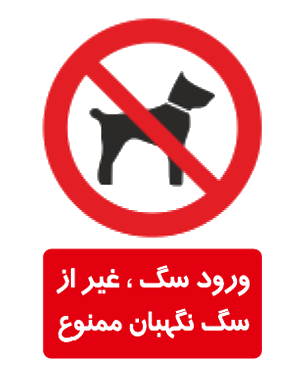 ورود سگ، غیر از سگ نگهبان ممنوع